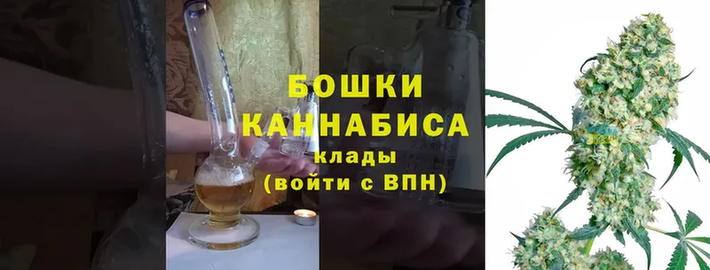 Канабис Bruce Banner  Опочка 